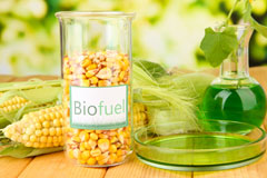Echt biofuel availability