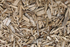 biomass boilers Echt
